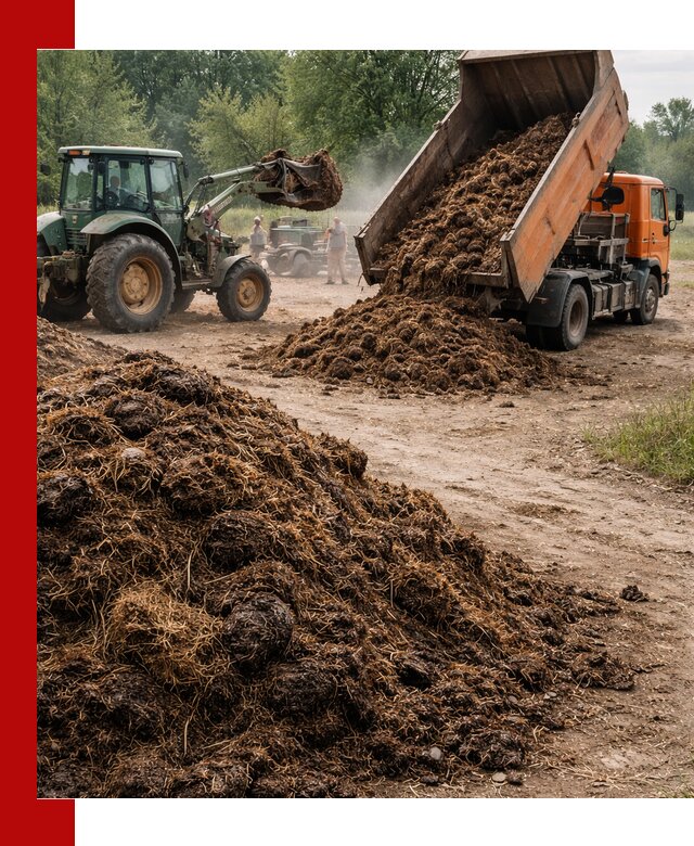 Доставка навоза самосвалами в Курчатове для сельхозпотребностей